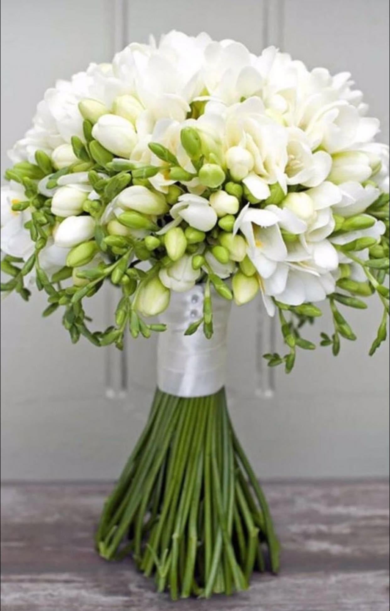 White Freesias
