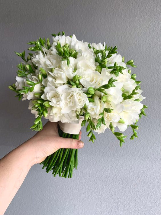 White Freesias